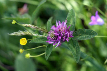 Фотограф Вениамин Чукалов