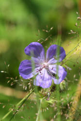 Фотограф Вениамин Чукалов