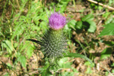 Фотограф Вениамин Чукалов