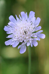 Фотограф Вениамин Чукалов