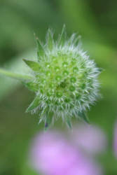 Фотограф Вениамин Чукалов