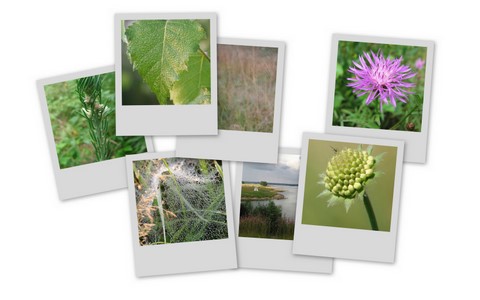 Фотограф Вениамин Чукалов