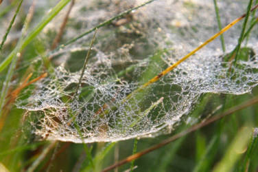Фотограф Вениамин Чукалов