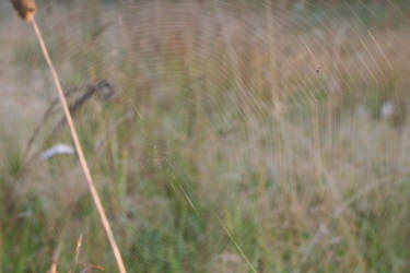 Фотограф Вениамин Чукалов