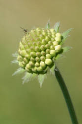 Фотограф Вениамин Чукалов