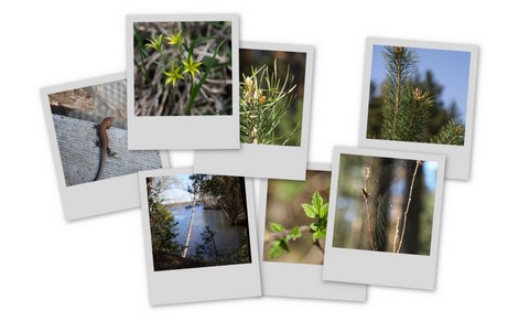 Фотограф Вениамин Чукалов