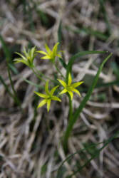 Фотограф Вениамин Чукалов