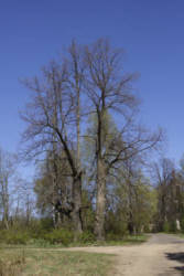 Фотограф Вениамин Чукалов