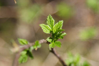 Фотограф Вениамин Чукалов