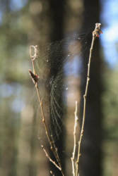 Фотограф Вениамин Чукалов