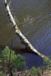 Фотограф Вениамин Чукалов