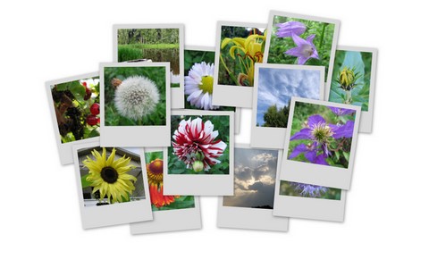 Фотограф Вениамин Чукалов