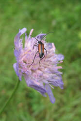 Фотограф Вениамин Чукалов