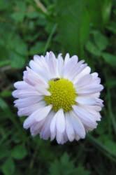 Фотограф Вениамин Чукалов