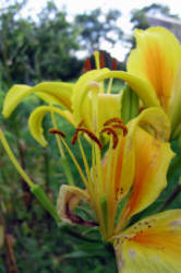 Фотограф Вениамин Чукалов