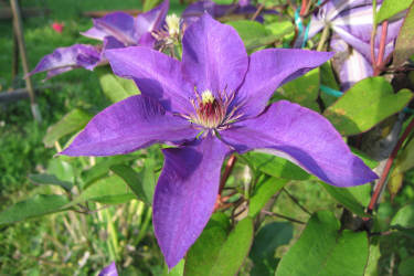 Фотограф Вениамин Чукалов