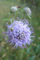 Фотограф Вениамин Чукалов