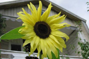 Фотограф Вениамин Чукалов