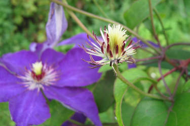 Фотограф Вениамин Чукалов