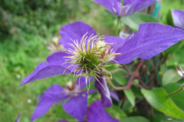 Фотограф Вениамин Чукалов