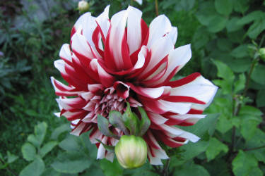 Фотограф Вениамин Чукалов