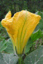 Фотограф Вениамин Чукалов