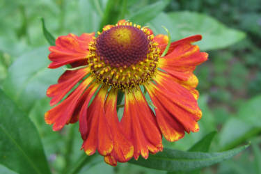 Фотограф Вениамин Чукалов