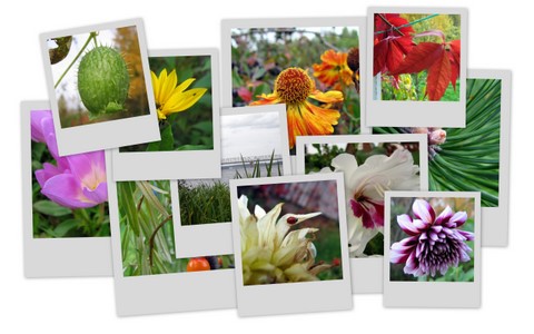 Фотограф Вениамин Чукалов