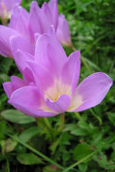 Фотограф Вениамин Чукалов