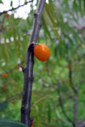 Фотограф Вениамин Чукалов