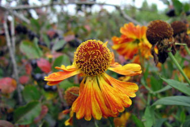 Фотограф Вениамин Чукалов