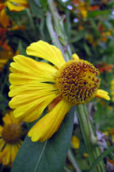 Фотограф Вениамин Чукалов