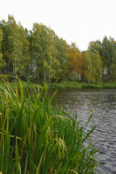 Фотограф Вениамин Чукалов