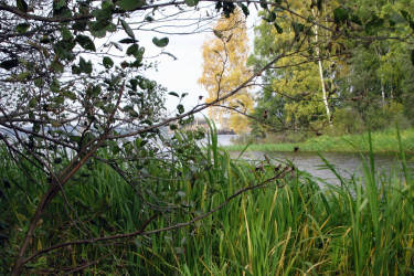 Фотограф Вениамин Чукалов