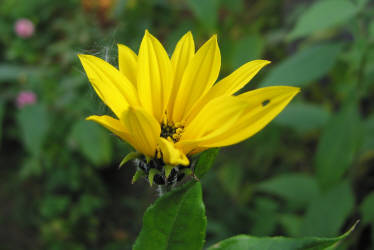 Фотограф Вениамин Чукалов