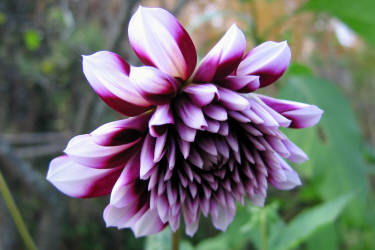 Фотограф Вениамин Чукалов