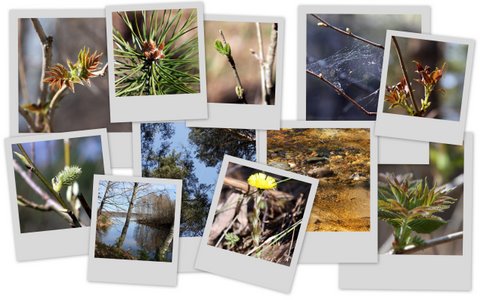 Фотограф Вениамин Чукалов