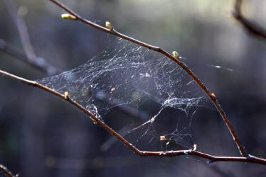Фотограф Вениамин Чукалов