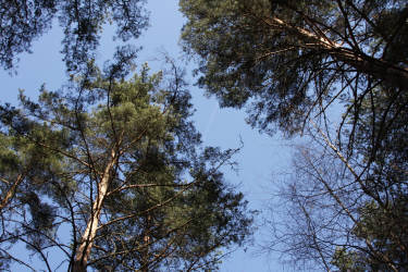 Фотограф Вениамин Чукалов
