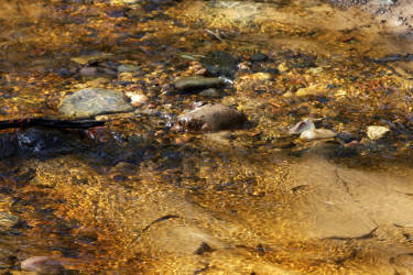 Фотограф Вениамин Чукалов