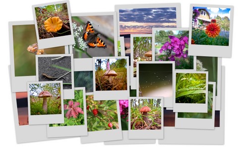 Фотограф Вениамин Чукалов