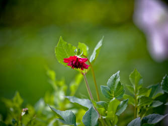 Фотограф Вениамин Чукалов