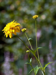 Фотограф Вениамин Чукалов