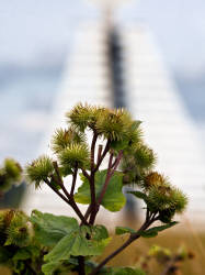 Фотограф Вениамин Чукалов