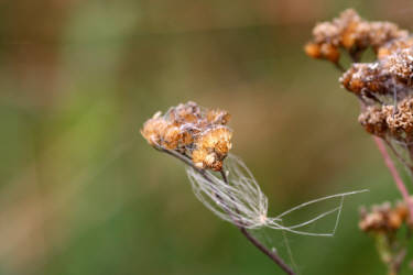 Фотограф Вениамин Чукалов