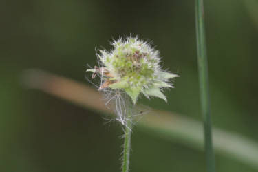 Фотограф Вениамин Чукалов