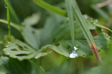 Фотограф Вениамин Чукалов