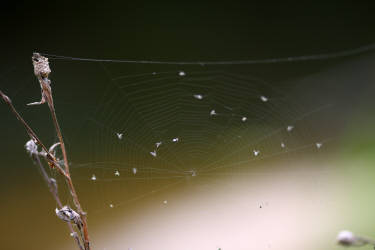 Фотограф Вениамин Чукалов