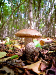 Фотограф Вениамин Чукалов