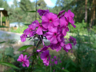 Фотограф Вениамин Чукалов